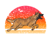 Malinois Belgian Shepherd Mechelaar Dog