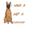 Malinois Belgian Shepherd Mechelaar Dog