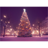 Weihnachtsbaum im WInter