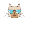 Siamese Cat with Sunglasses Pet