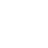 Cactus Garden