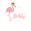 Flamingo Anniversaire Père