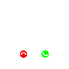 Basset Hound