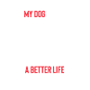 Basset Hound