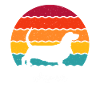 Basset Hound