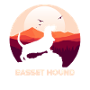 Basset Hound