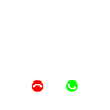 Basenji