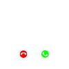 Beagle - Dog Gift