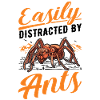 Easily distracted by ants anthills