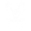 Rockin depuis 2000