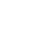 Data Analyst