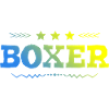 Boxer Boxen Sport