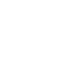 Finance Manager