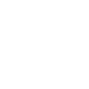Information Security Analyst