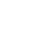 Software Developer