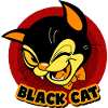 Smart Black Cat
