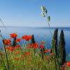 Gardasee