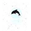Dolphins playing in the moonlight