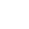 Hammerhead Shark - Fishing