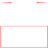 Vegan Crew