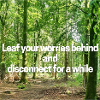 Leaf your worries behind