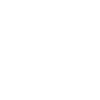 Limited 1999 Edition