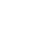 Flamingo heartbeat