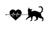 Cat heartbeat
