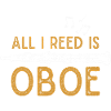 Oboe Oboist Orchestra Musicien