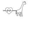 Giraffe Herzschlag