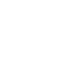 2000 Limited Zebra Edition