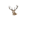 Basst Scho | Trachten Hirsch