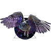 Space owl