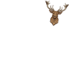 Basst Scho | Trachten Hirsch