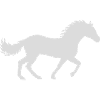 Racing Horse Silhouette Design
