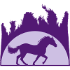 Sun Beach Palm Horse