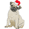 Weihnachten Hündchen