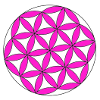 Blume des Lebens pink