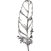 Pen white hand-drawn