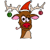 Drunk Reindeer