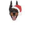 Doberman Merry Christmas