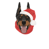 Doberman Merry Christmas