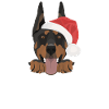 Doberman Merry Christmas