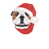 Bouledogue anglais Joyeux Noël
