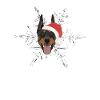 Doberman Merry Christmas