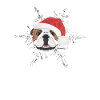 Bouledogue anglais Joyeux Noël