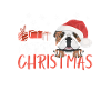Bouledogue anglais Joyeux Noël