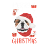 Bouledogue anglais Joyeux Noël
