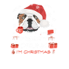 Englische Bulldogge Weihnachtsmarkt