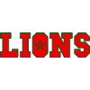 Moroccan Lions